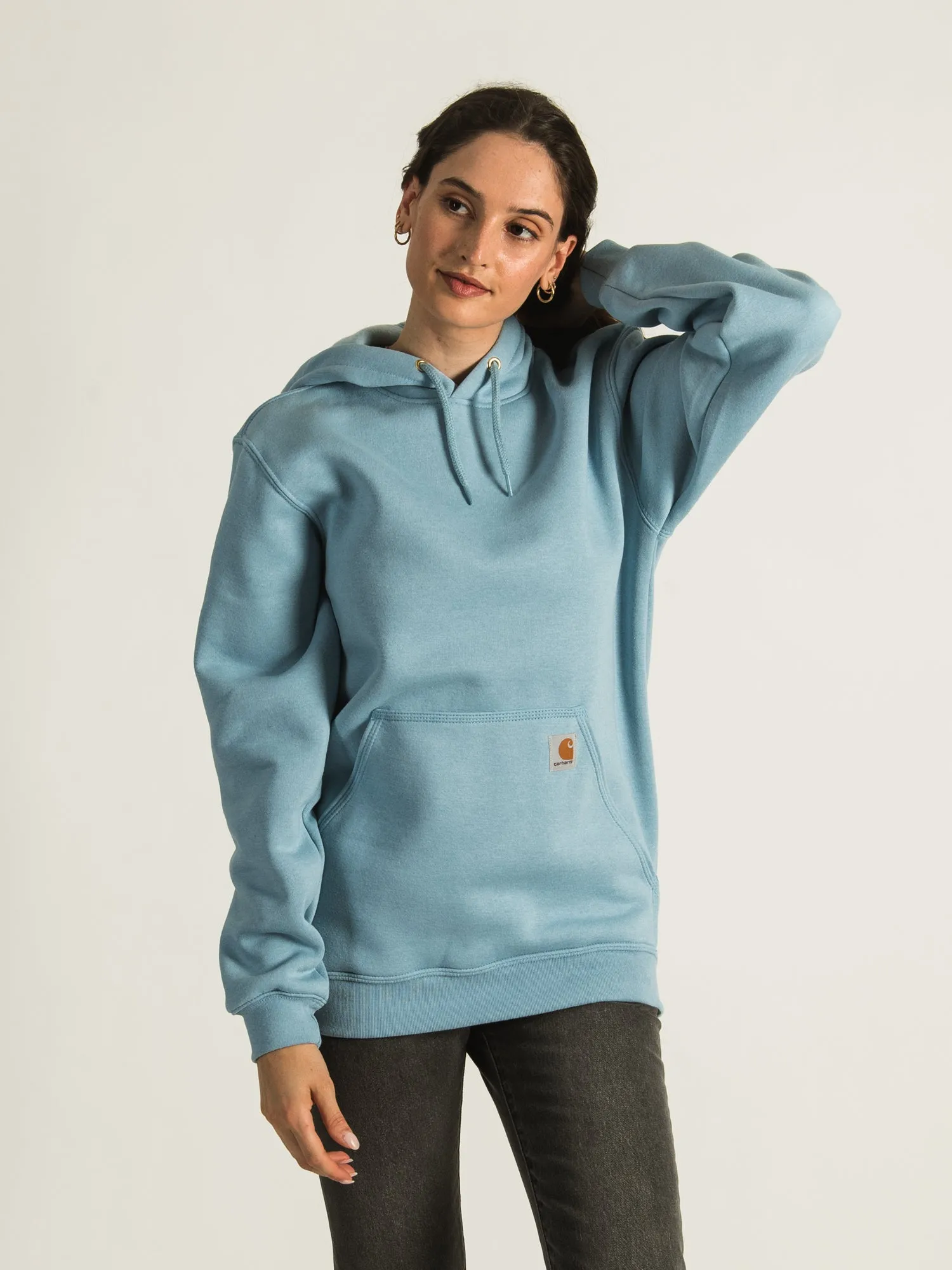 CARHARTT SLEEVE PULLOVER HOODIE - CLEARANCE