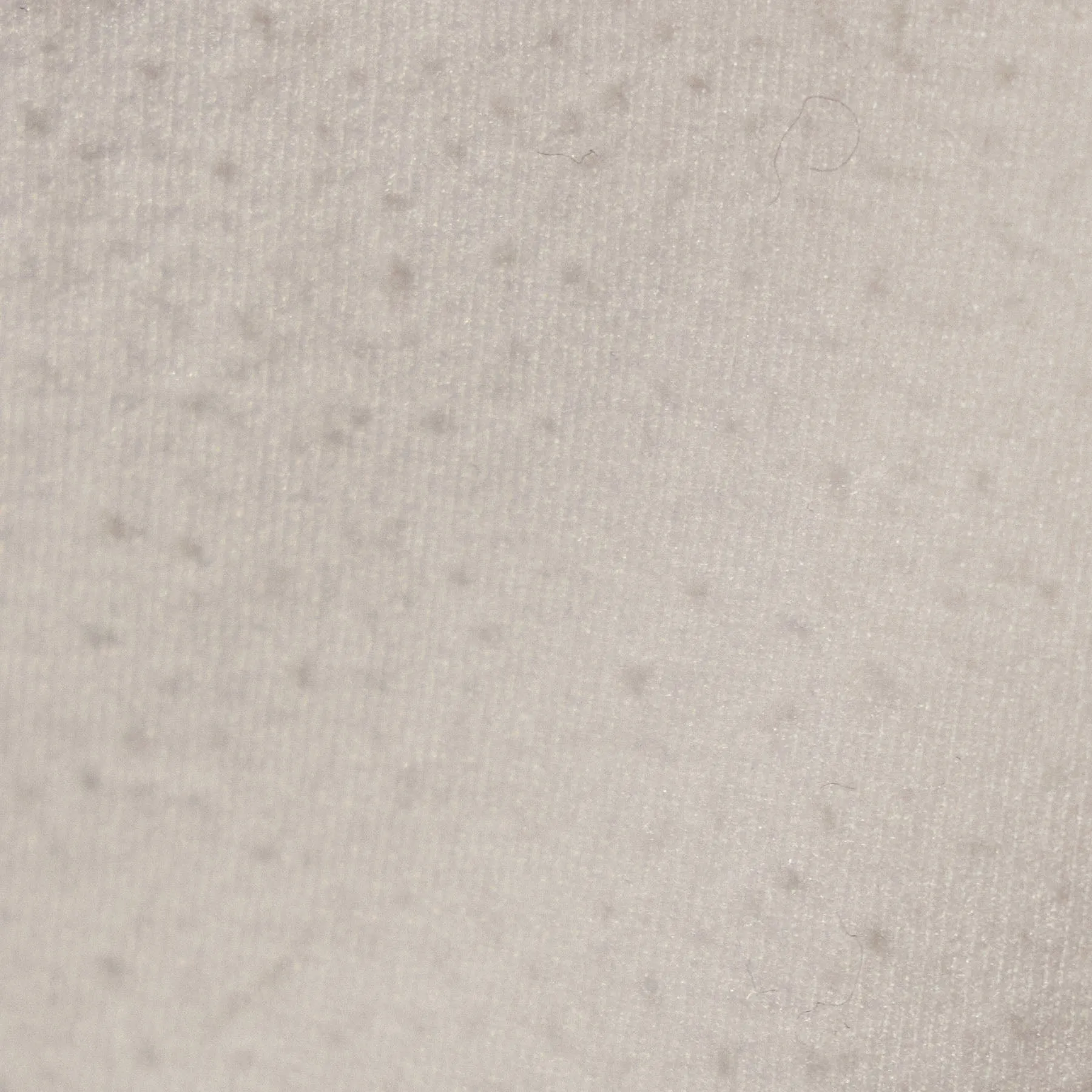Matte Scuba Full Zip - Ivory